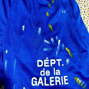 Gallery Dept. French Studio Gym Shorts